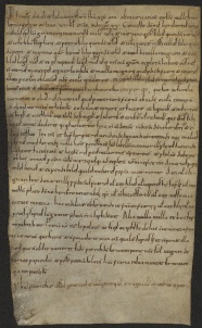 207 C.25.CCVIIr, Investitura fatta da Eriberto vescovo a favore di Giovanni, Martino e di alcuni altri da Mugnano, [1078, feb. 23-28]
